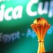 Beating South Africa in bid to host African Cup gives Egypt confidence- Sports minister