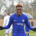 Callum Hudson-Odoi: Chelsea manager Maurizio Sarri wants Bayern Munich target to stay