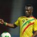 Afcon 2019: Mali sack Adama Niané from camp