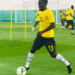 Afcon 2019: Ghana coach Kwasi Appiah impressed with performance of new Black Stars players