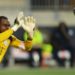 I conquered Africa – Vincent Enyeama