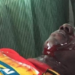 Video: Watch Kotoko fan shot by Police after Berekum Chelsea loss lying helplessly in a pool of blood