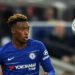 Chelsea winger Callum Hudson-Odoi arrested after ‘4am row with a model’