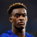 Chelsea winger Callum Hudson-Odoi arrested after ‘4am row with a model’