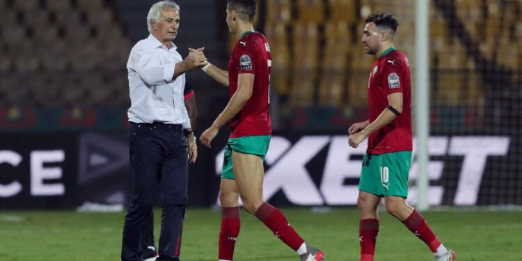 AFCON 2022: Morocco coach Vahid Halilhodžić insists there is no small team in Africa