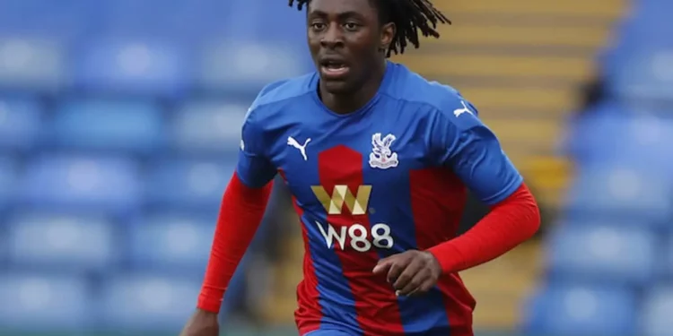 2022 World Cup Qualifier: Siasia urges Eguavoen to get Eze