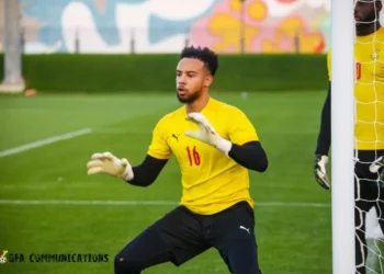 ‘Maintain Jojo Wollacot, other AFCON goalkeepers for crucial Nigeria games’ – Former Ghana goalie Fatau Dauda