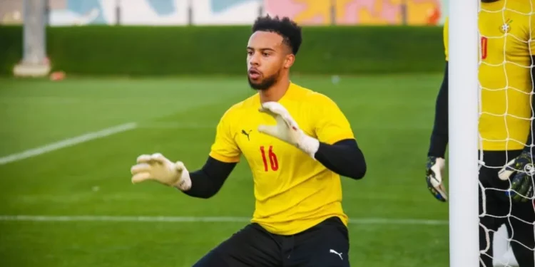 ‘Maintain Jojo Wollacot, other AFCON goalkeepers for crucial Nigeria games’ – Former Ghana goalie Fatau Dauda