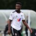 Ghanaian forward Terry Ablade makes cameo in Fulham’s loss against Crawley