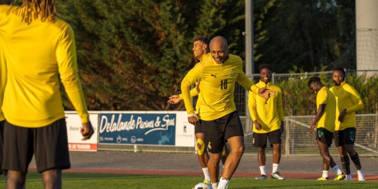 ‘I’m very lucky to be with players who give me that leadership role, confidence and responsibility’ – Andre Ayew