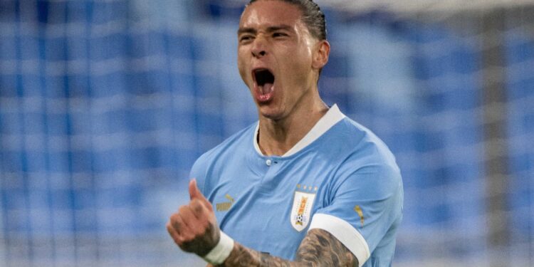 “World Cup is a dream come true for me” – Nunez