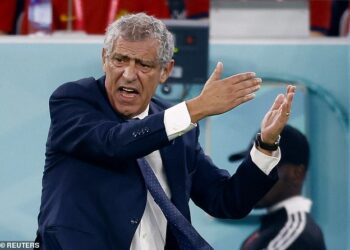 Portugal coach Fernando Santos quits job after World Cup exit