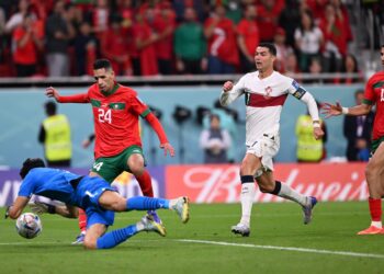 2022 World Cup: Billionaire Elon Musk congratulates Morocco for win against Portugal