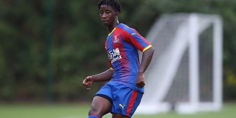 Crystal Palace release Ghana defender David Boateng