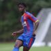 Crystal Palace release Ghana defender David Boateng
