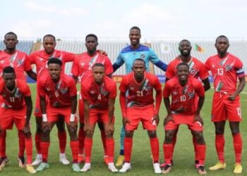 AFCON 2023 Team Guide- (#17). Namibia