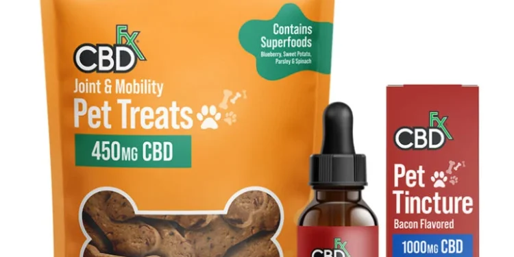 7 Factors To Consider While Buying CBD For Dogs Online