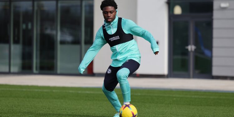 Fit-again Tariq Lamptey returns to training with Brighton & Hove Albion