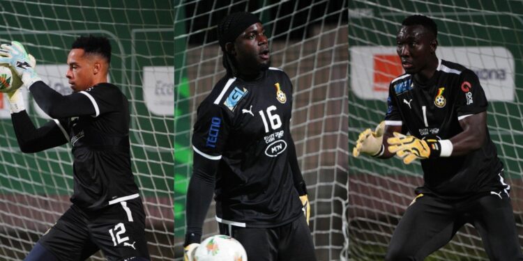 AFCON 2023: Can the trio of Richard Ofori, Lawrence Ati-Zigi, and Joseph Luke Wollacott hold the fort in the goalkeeping department