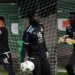 AFCON 2023: Can the trio of Richard Ofori, Lawrence Ati-Zigi, and Joseph Luke Wollacott hold the fort in the goalkeeping department
