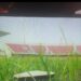 Accra Sports Stadium in deplorable state