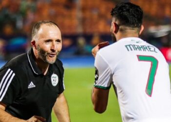 Tunisian Football Federation in talks to appoint Djamel Belmadi as the new head coach