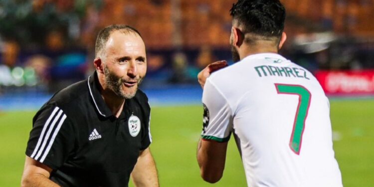 Tunisian Football Federation in talks to appoint Djamel Belmadi as the new head coach