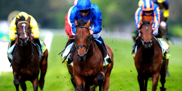 The Top Horse Racing Events for Arab Bettors in Fall 2024