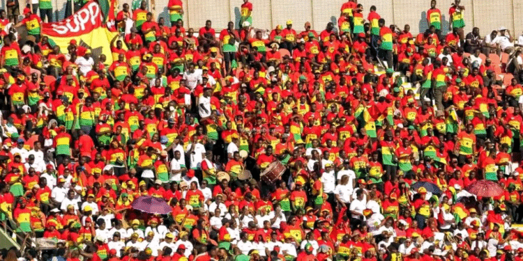 Government to end funding for supporters’ trips to Black Stars tournaments – Kofi Adams